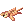 Tiger Skin