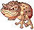 Poison Toad
