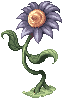 Blue Flower