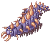 Centipede Larva